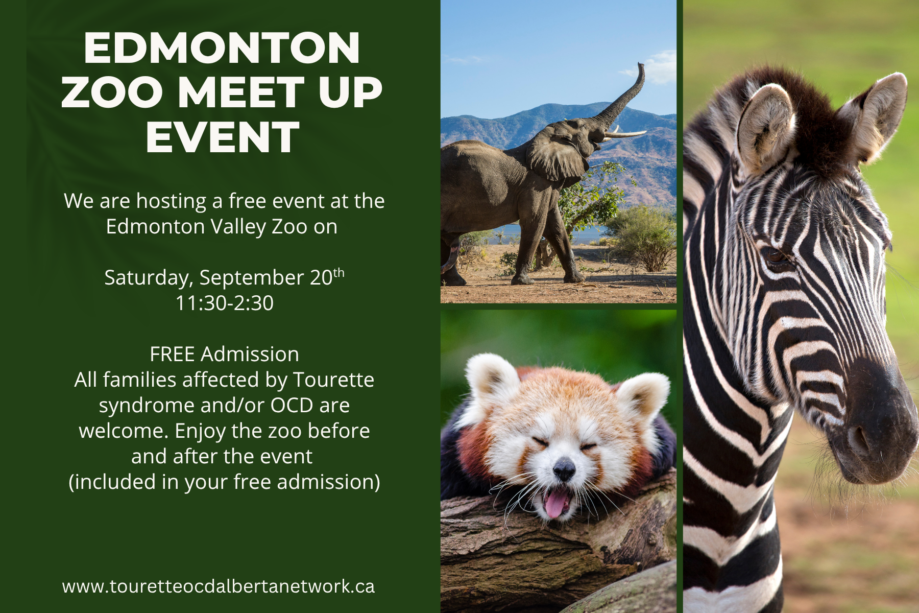 Edmonton Zoo flyer .png